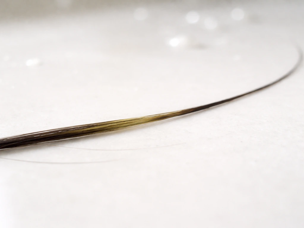 Close-up of hair strand showing three growth phases with subtle color-separated segments in a clean bathroom setting.